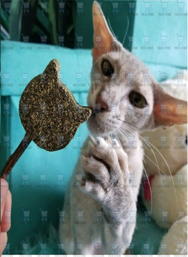 The DDS Store Catnip Stick Teeth Cleaning Chew Toy 1 Piece - Image 1
